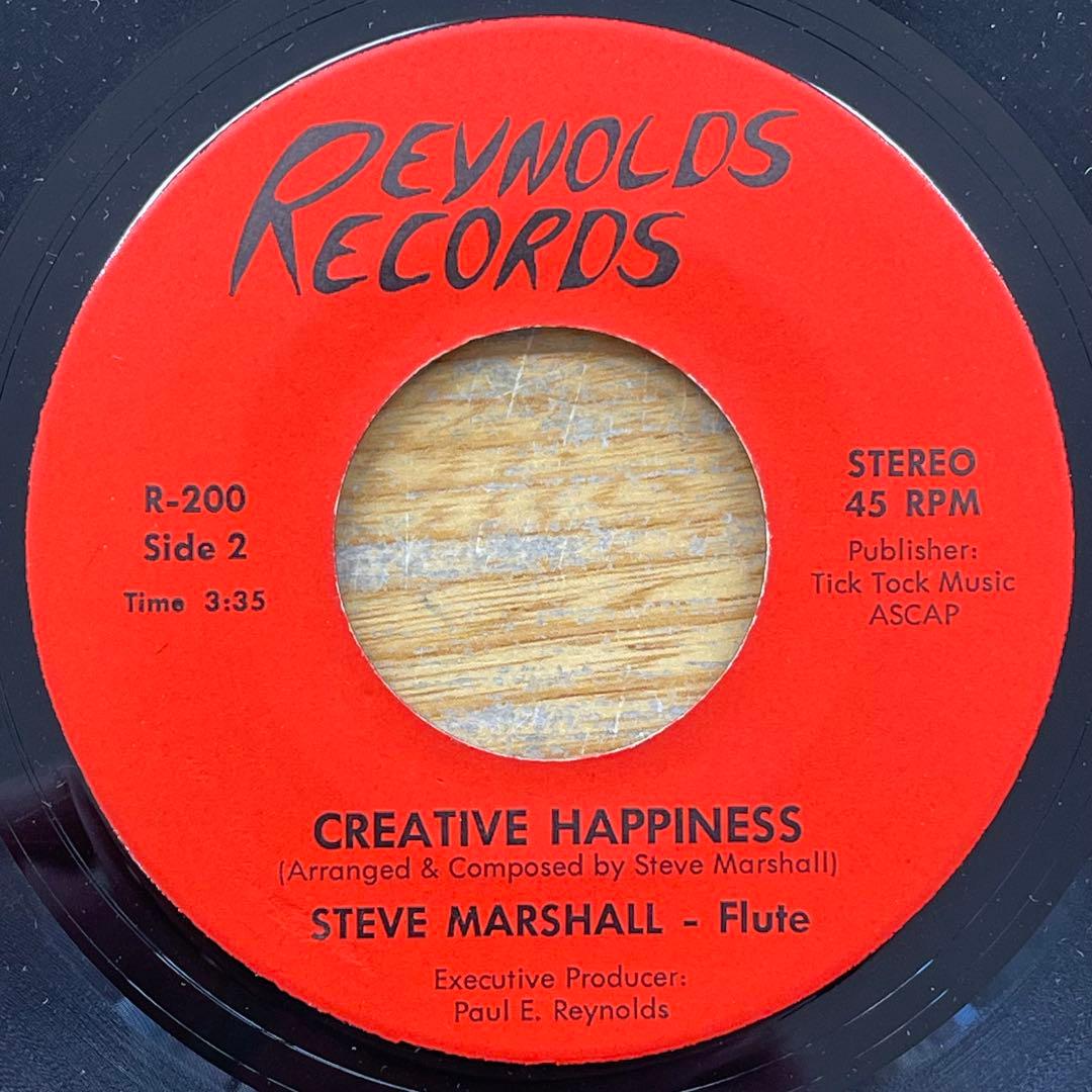 STEVE MARSHALL • Maintain • 45rpm