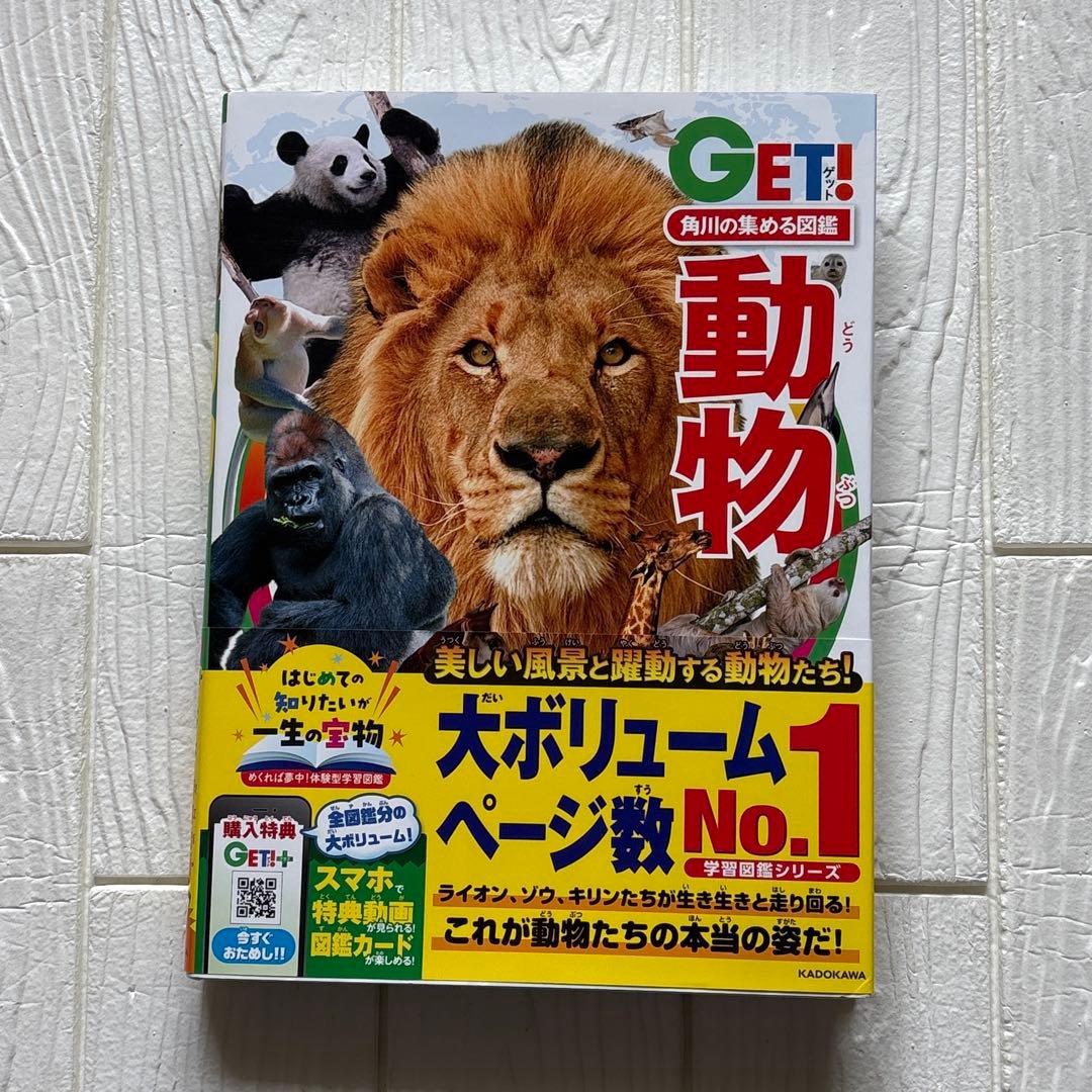 GET! 動物・危険生物・昆虫・恐竜(４冊セット)