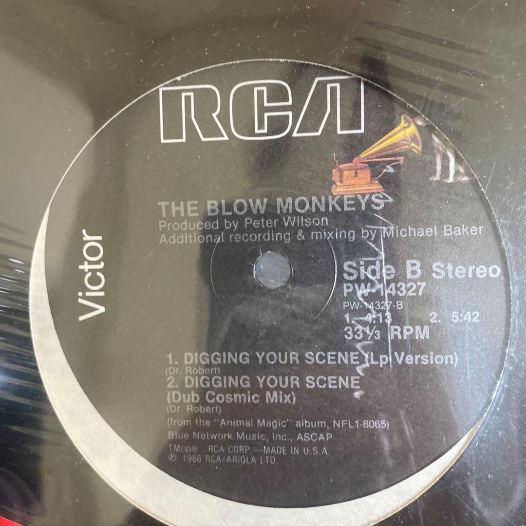 洋楽 The Blow Monkeys Digging Your Scene