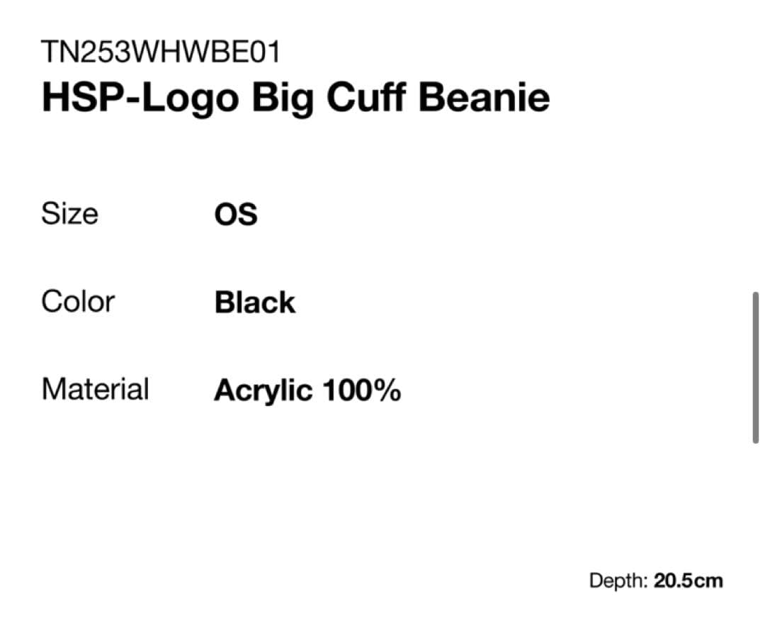 新品　ディスイズネバーザット HSP-Logo Big Cuff Beanie