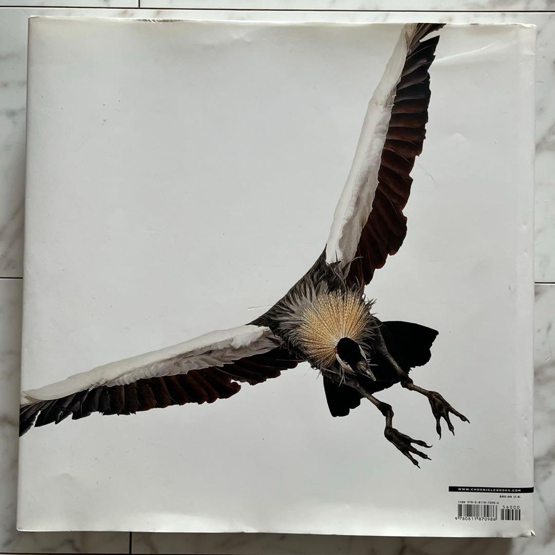 Bird 〈Andrew Zuckerman〉大型本