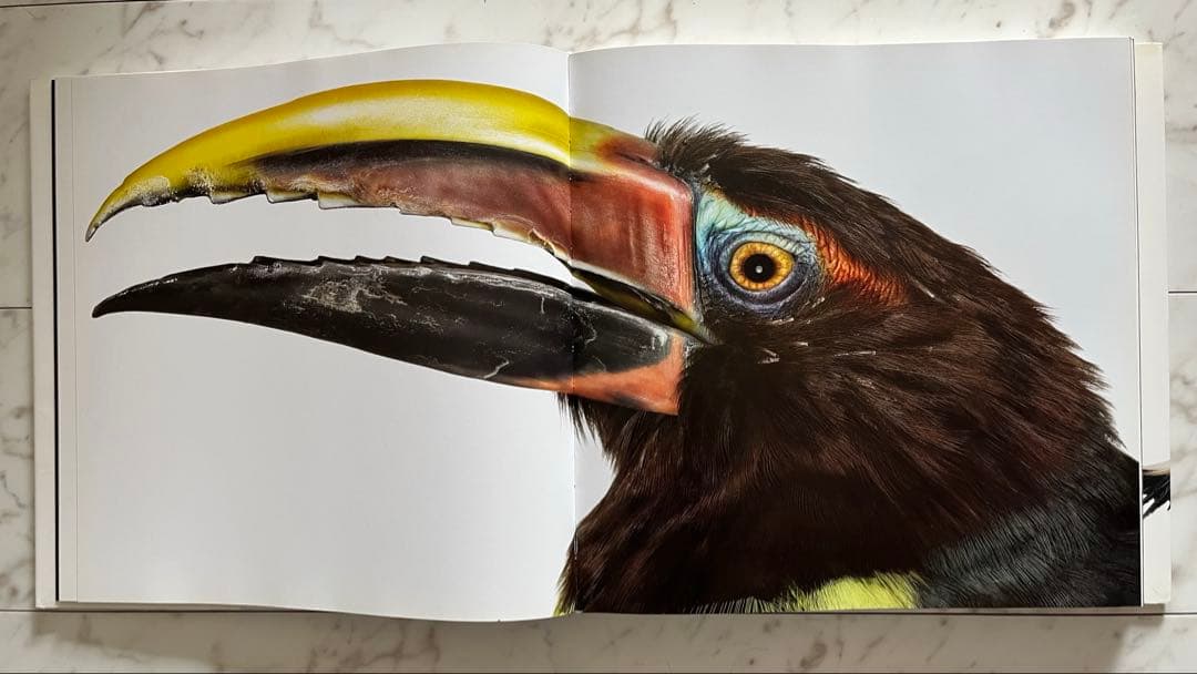 Bird 〈Andrew Zuckerman〉大型本