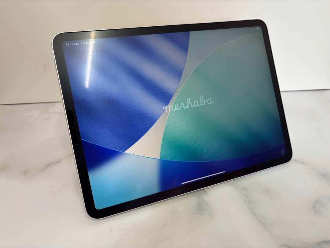 【極美品】iPad Pro 11 第1世代 64GB Wi-Fiモデル+セット