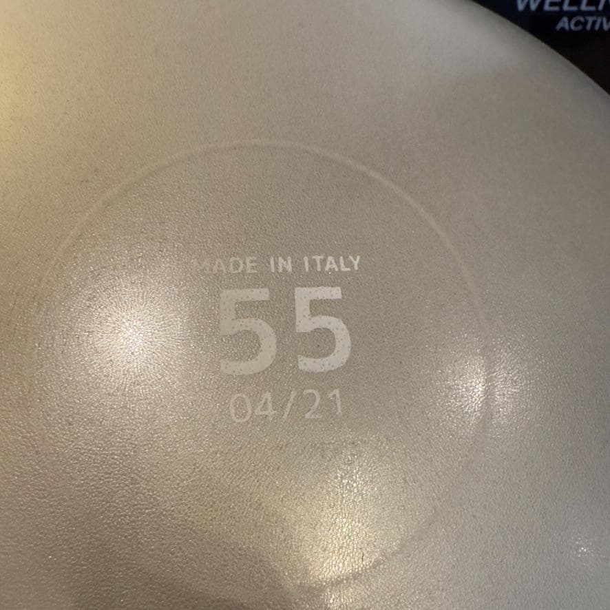 エクササイズグッズ Technogym WELLNESS BALL 55cm
