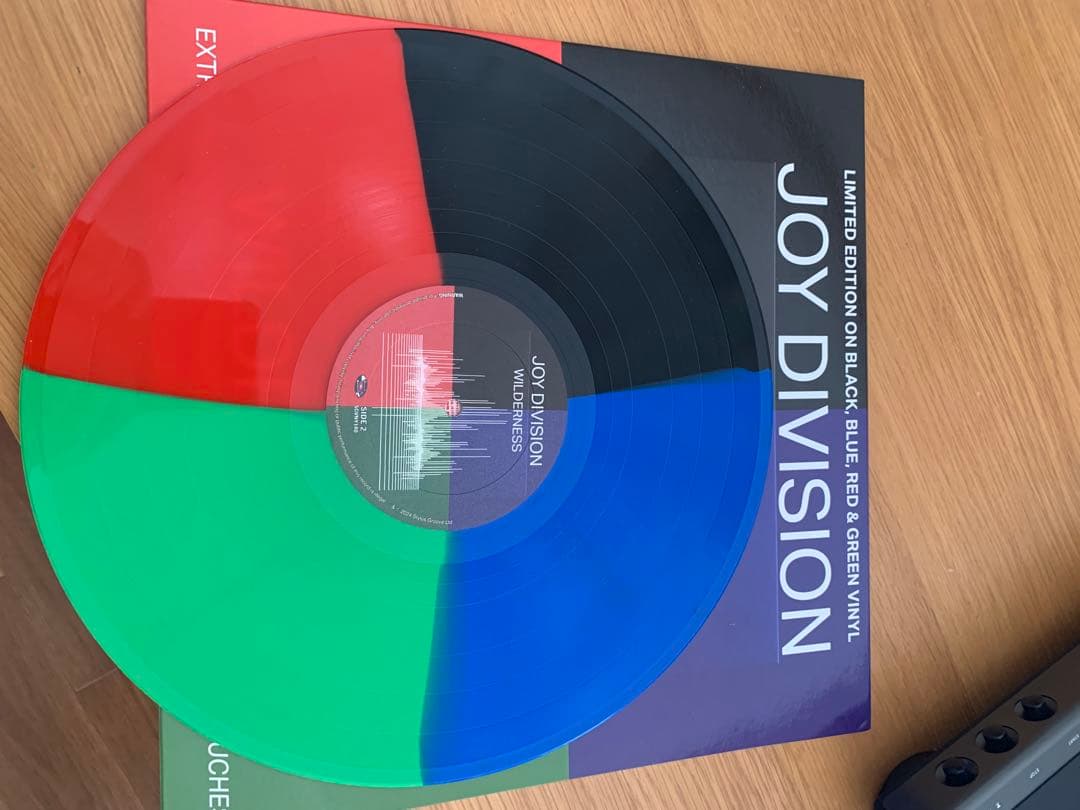 JOY DIVISION WILDERNESS 限定版レコード