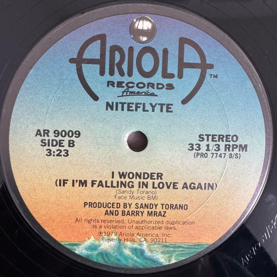 洋楽 NITEFLYTE/IF YOU WANT IT, I WONDER