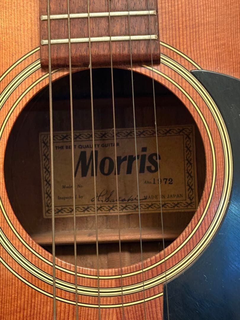 Morris アコースティックギター