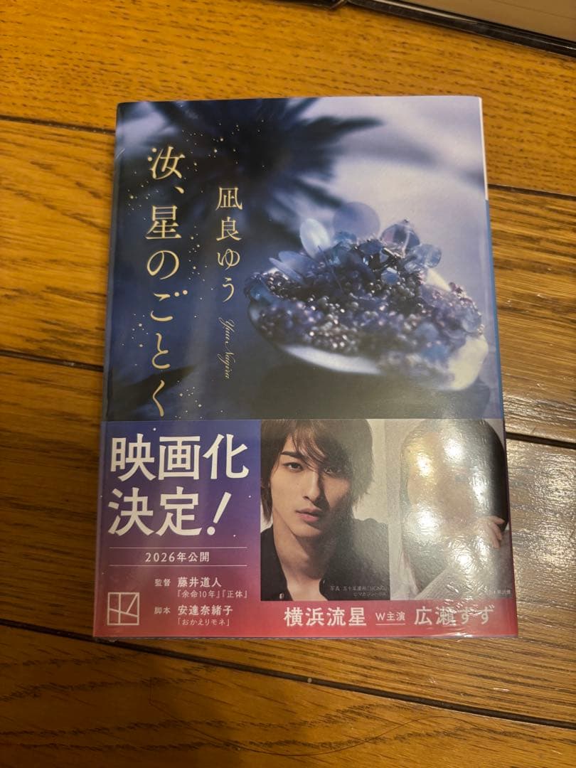 まとめ売り（バラ売り可！）辻村深月　凪良ゆう　道尾秀介　柚月裕子