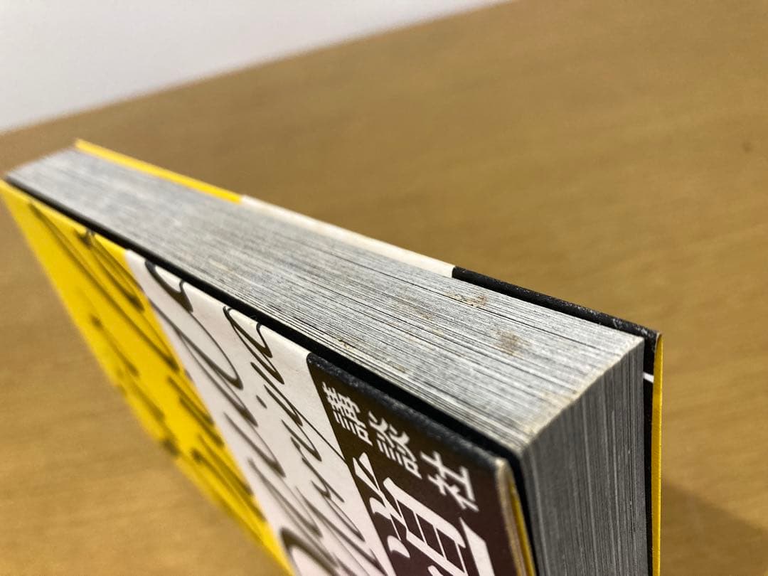 【中古】森山大道 サンパウロ 初版 写真集