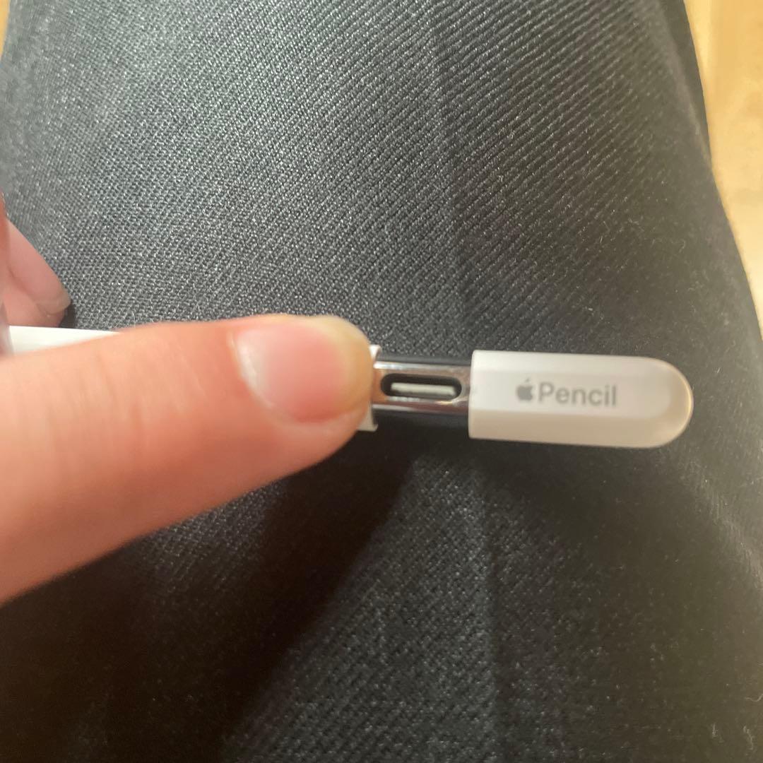 Apple Pencil ホワイト USB-C
