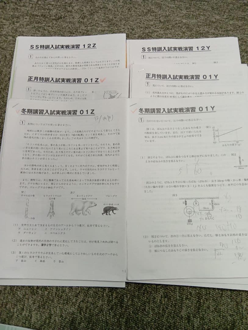 サピックス６年理科　デイリー/夏期集中/春夏/土特 /日特　中古　２０２６年受験