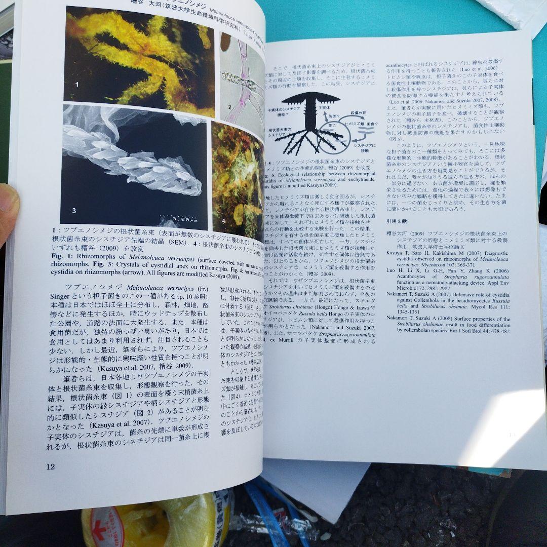 北海道産ハラタケ類の分類学的研究 2010年 145＋13P HC
