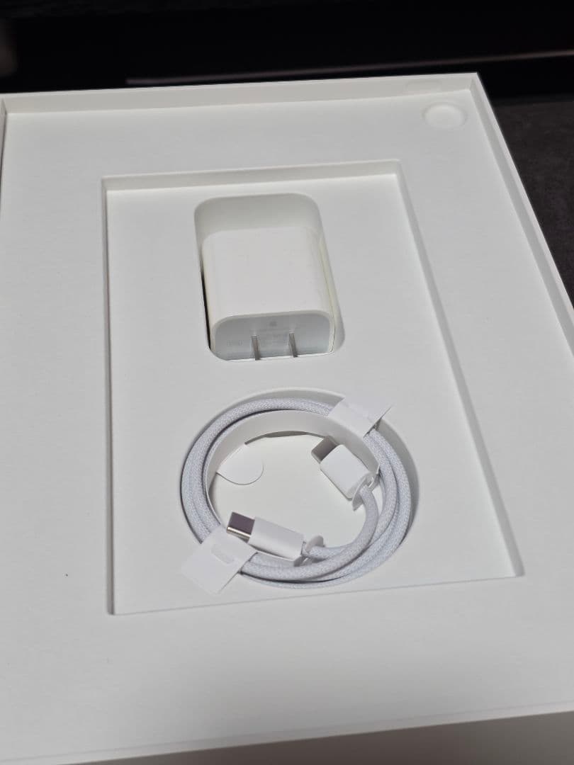 iPad Pro（第1世代）256GB Cellular スペースグレイ