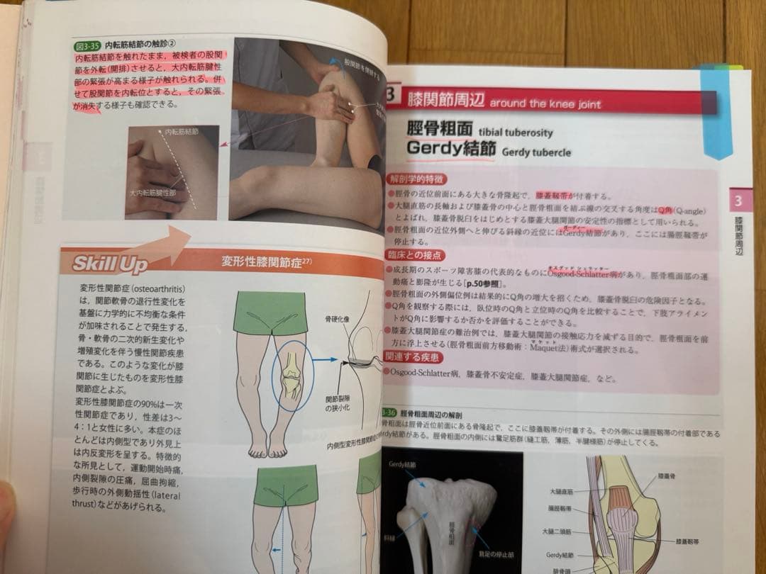 改訂第2版 機能解剖学のための触診技術 上下巻セット