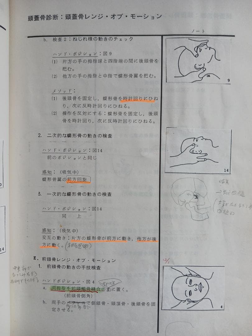 頭蓋骨テクニック参加者ガイド