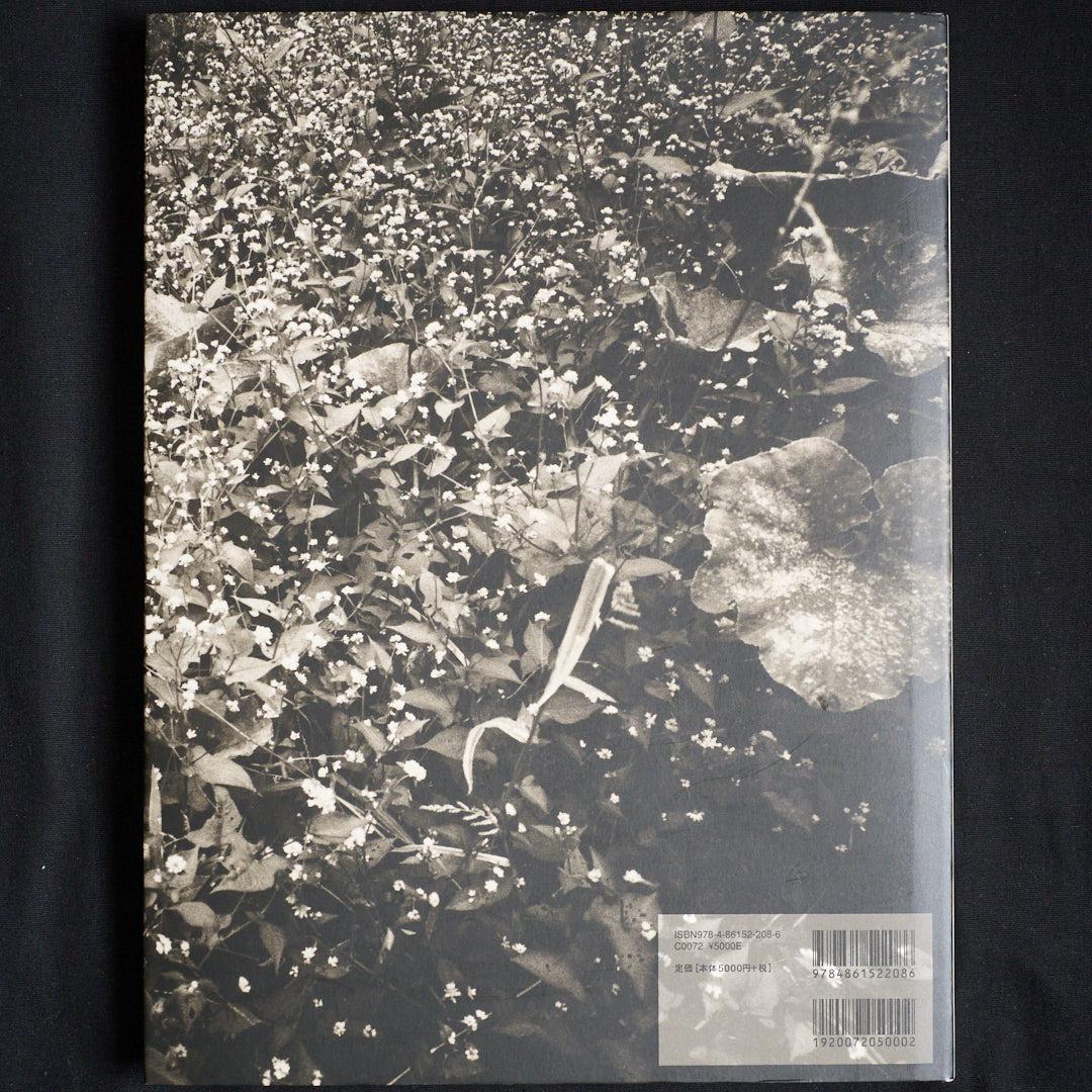 KAMAITACHI 鎌鼬 - 細江英公 Eikoh Hosoe