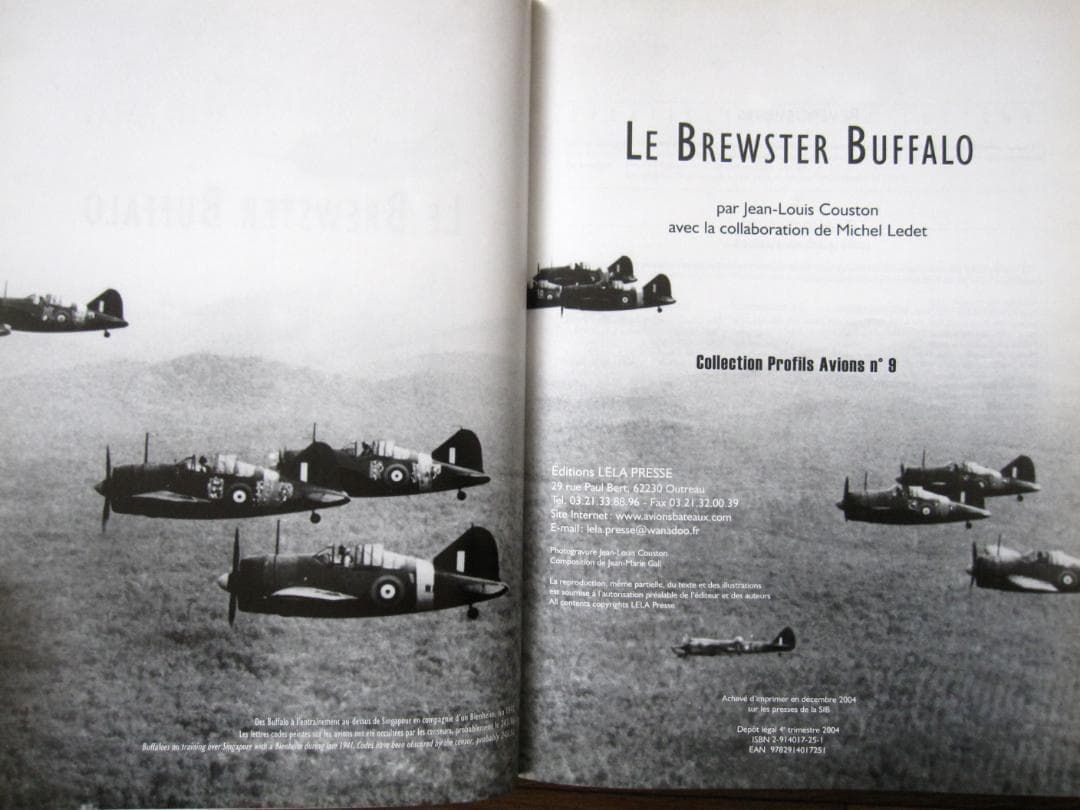 洋書 BREWSTER BUFFALO / Jean-Louis Couston