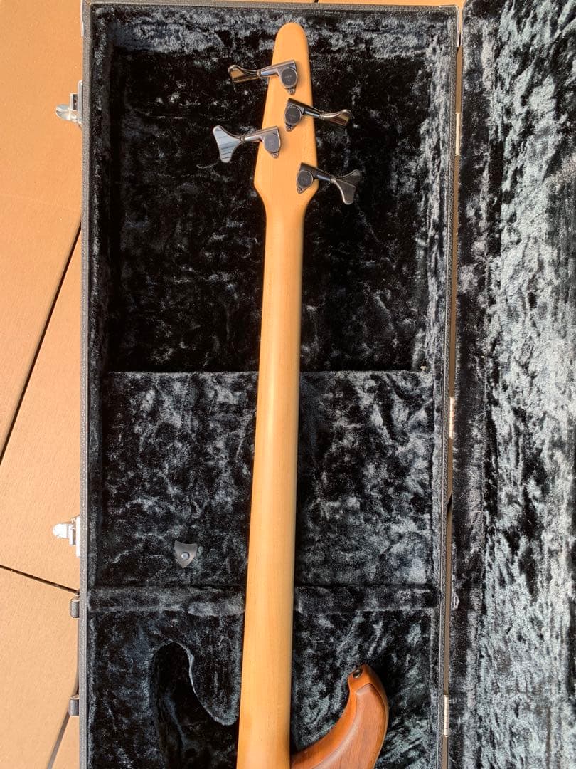 Zi III-4 WN Custom Bartolini搭載／18V仕様