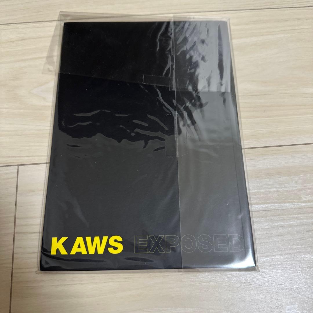 Kaws Exposed カウズ 貴重本　エキスポーズ　作品集
