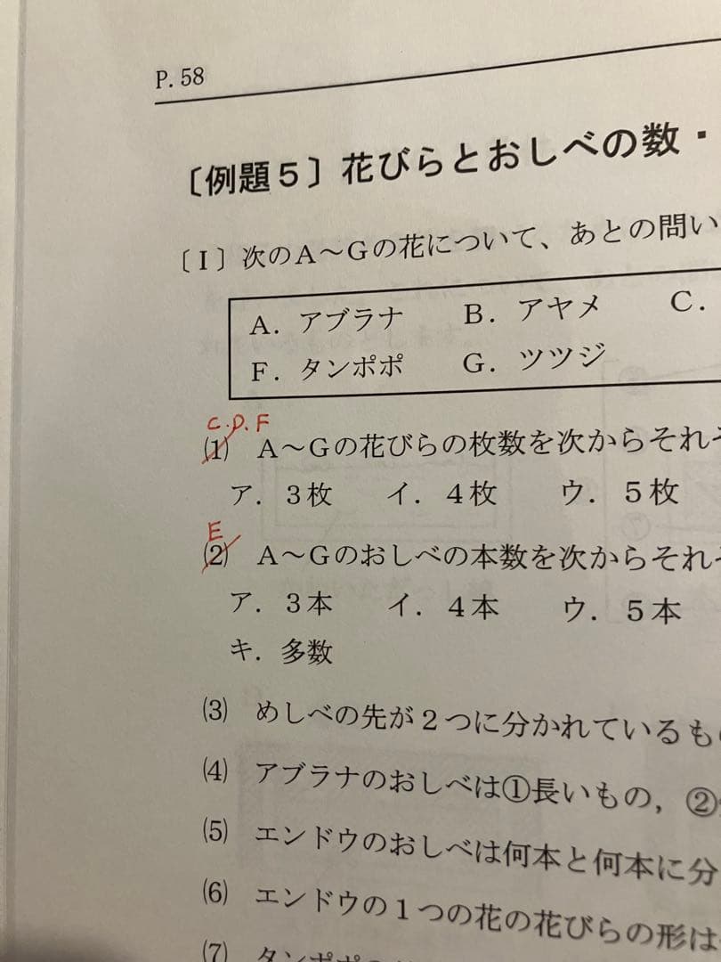 浜学園　小6理科　最高レベル特訓　フルセット
