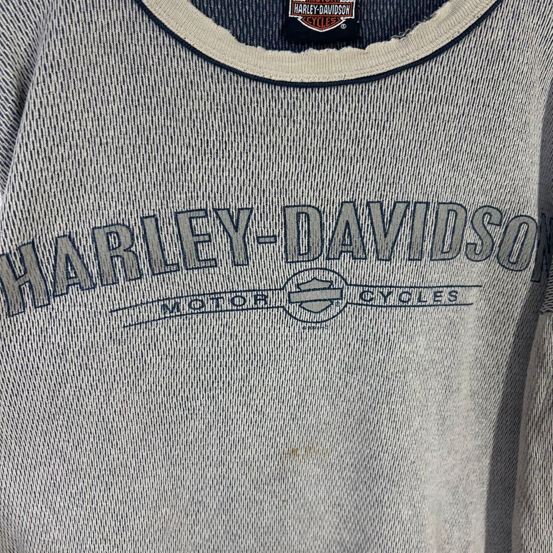 USA製 HARLEY DAVIDSON ハーレー サーマル ロンT ボロ レア