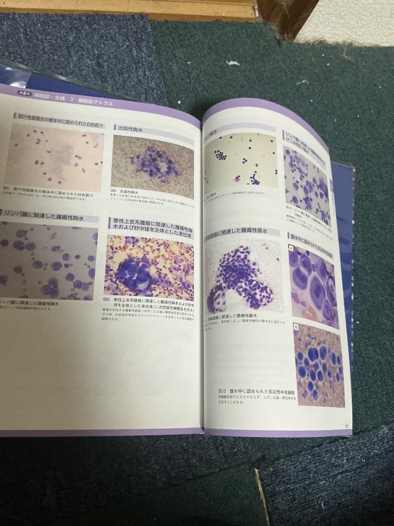 SA Medicine BOOKS 犬と猫の検査・手技ガイド2019