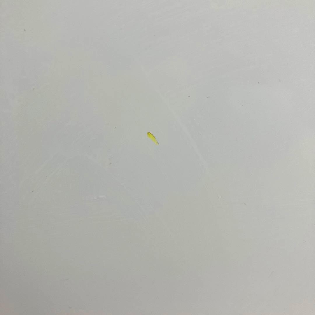 《展示品・未使用品》アビデラックス　45L小型冷蔵庫　AR-49