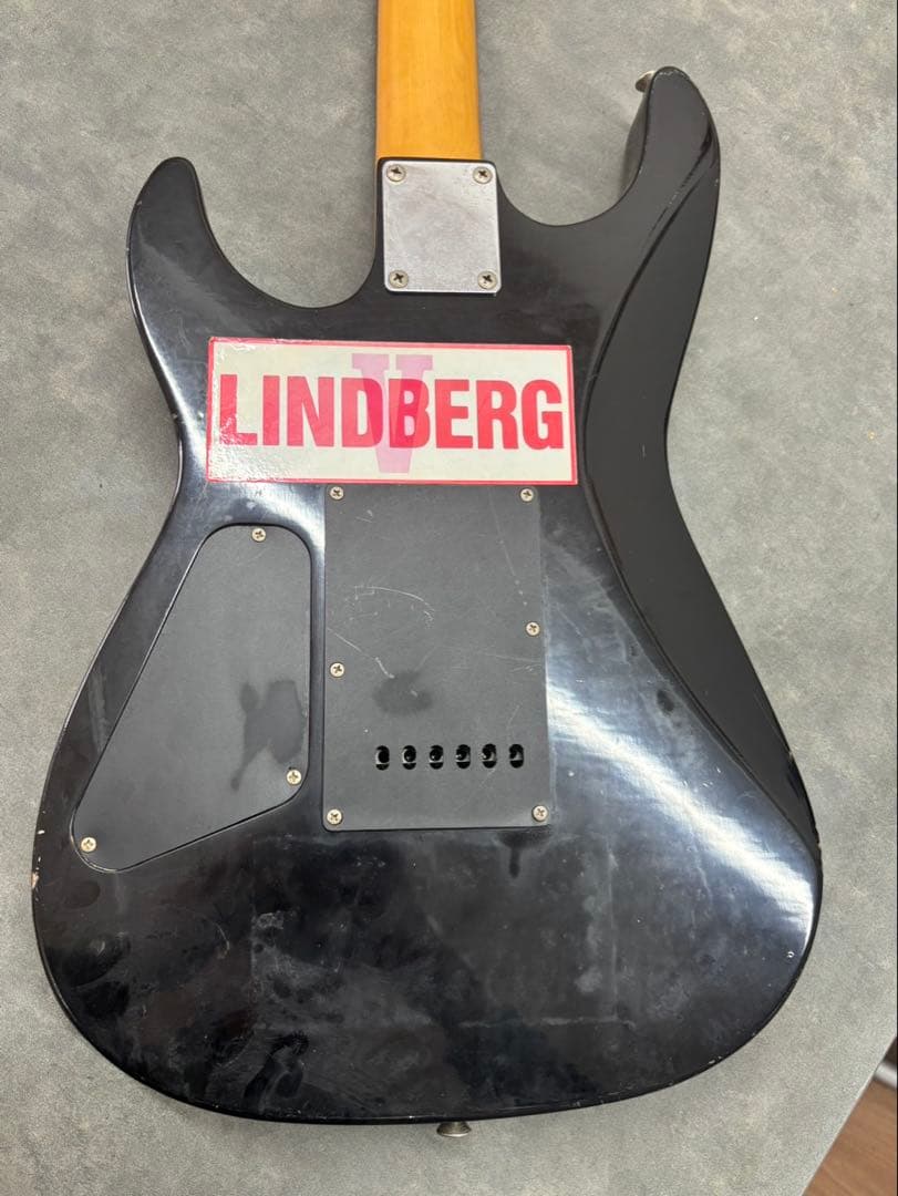 ギター FERNANDES LIMITED EDITION Original Body