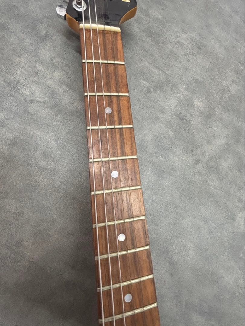 ギター FERNANDES LIMITED EDITION Original Body
