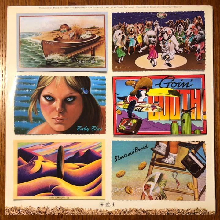 ビーチボーイズ Beach Boys【米オリジナル盤・美品・高音質・超稀少】④