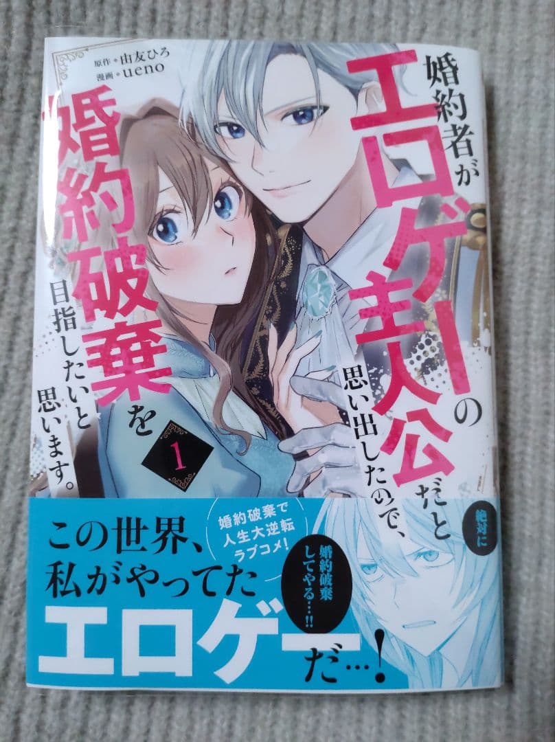 婚約者がエロゲーの主人公だと思い出したので、婚約破棄を目指したいと思います。(…