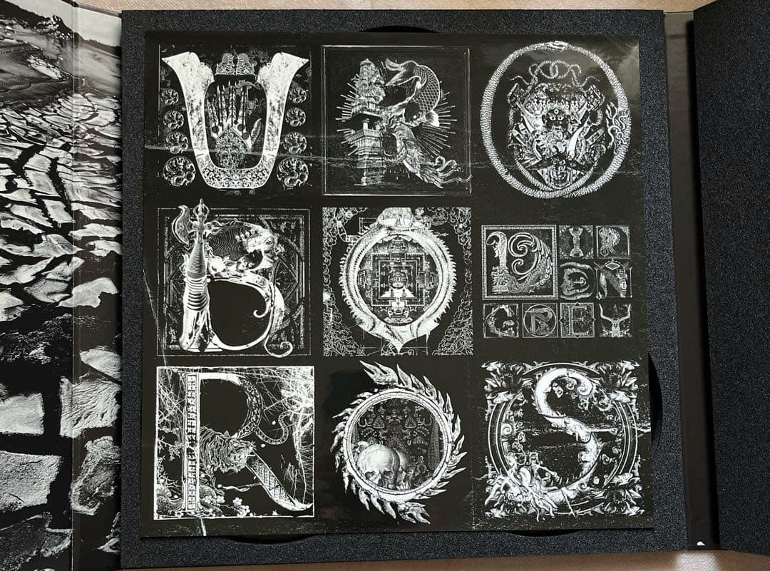 完全生産限定盤 DIR EN GREY UROBOROS DVD+LP レコード