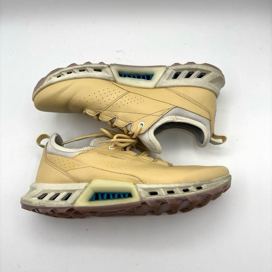 ECCO Golf Biom C4 ゴルフシューズ　ゴアテックス　24.0