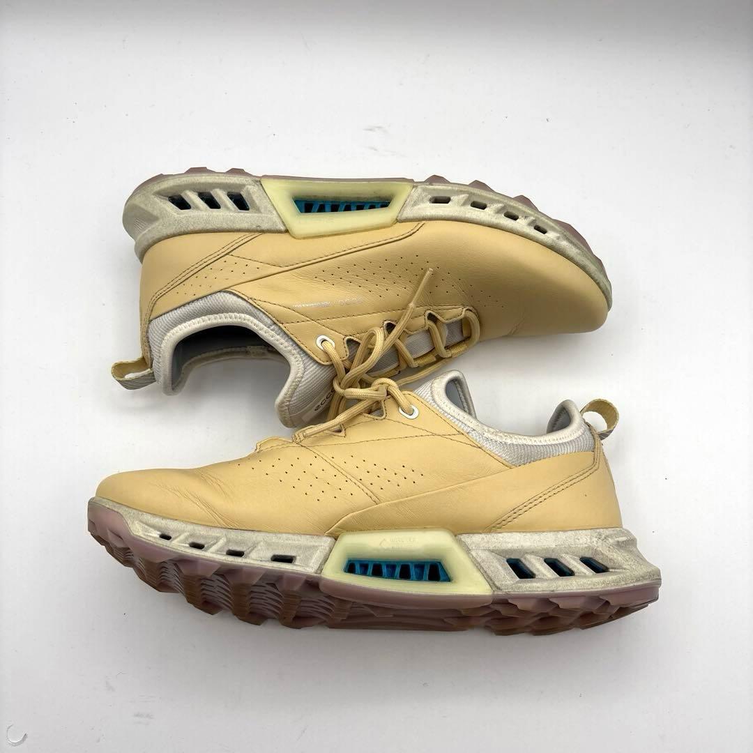 ECCO Golf Biom C4 ゴルフシューズ　ゴアテックス　24.0