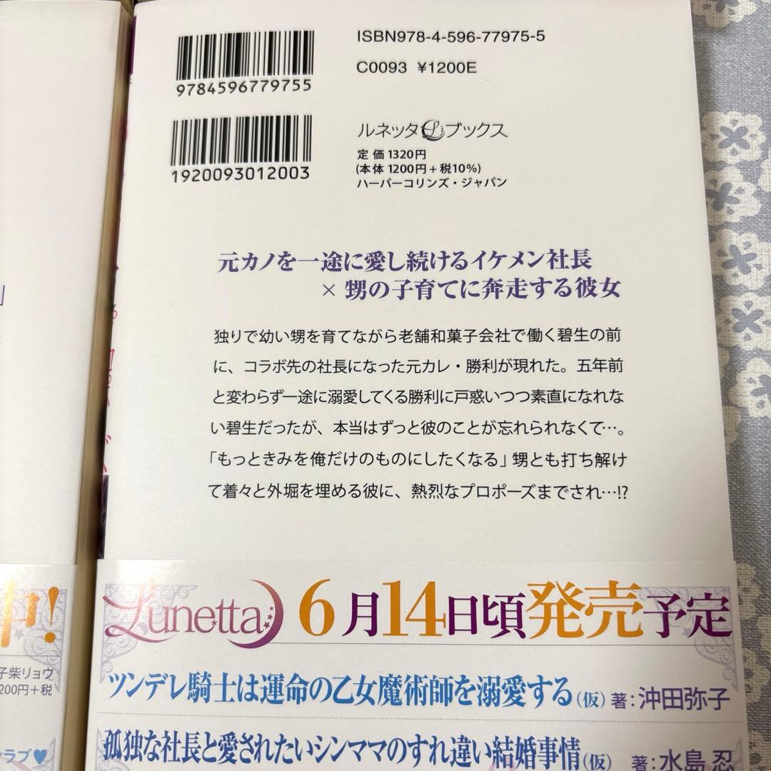 【専用】エタニティブックス・ルネッタブックス・ヴァニラ文庫ミエル　5月新刊