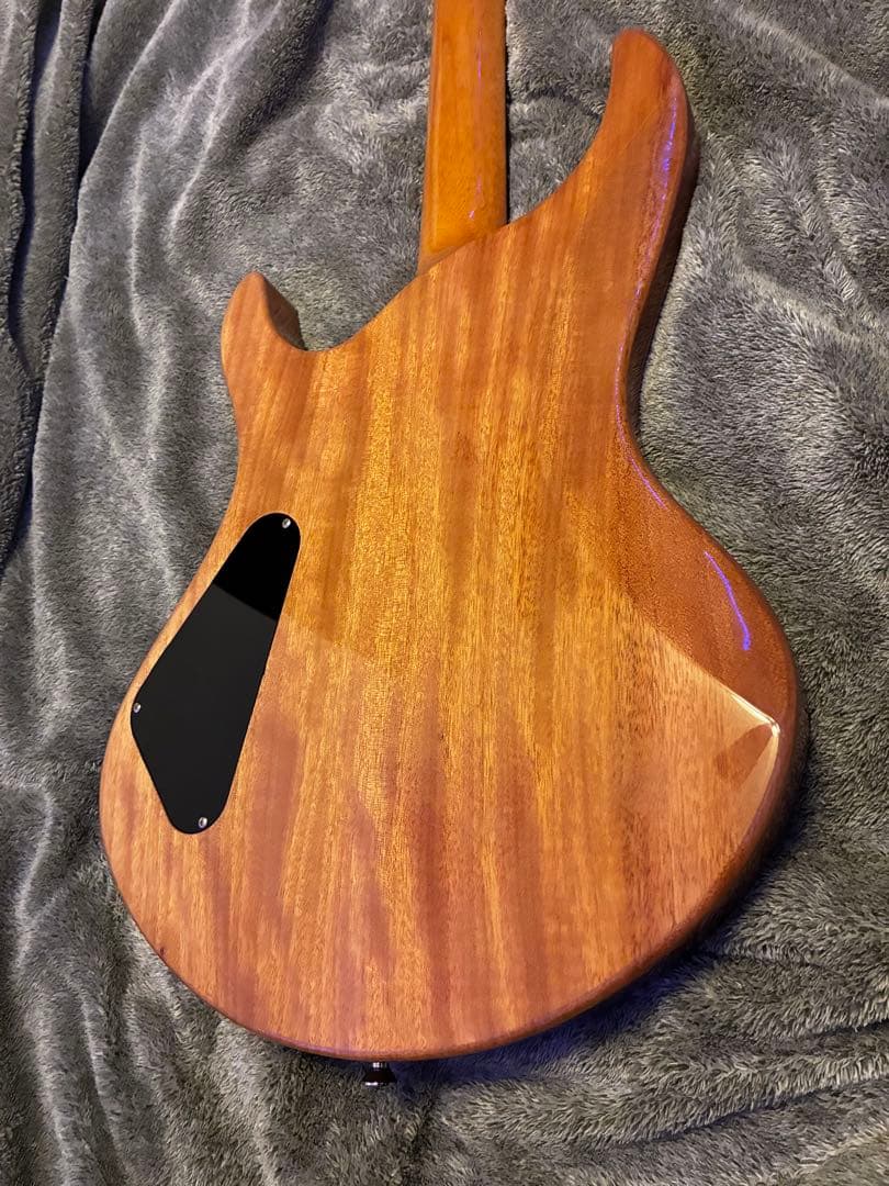 EDWARDS RODEOholic e-zukaロックペグ　ミディアムスケール
