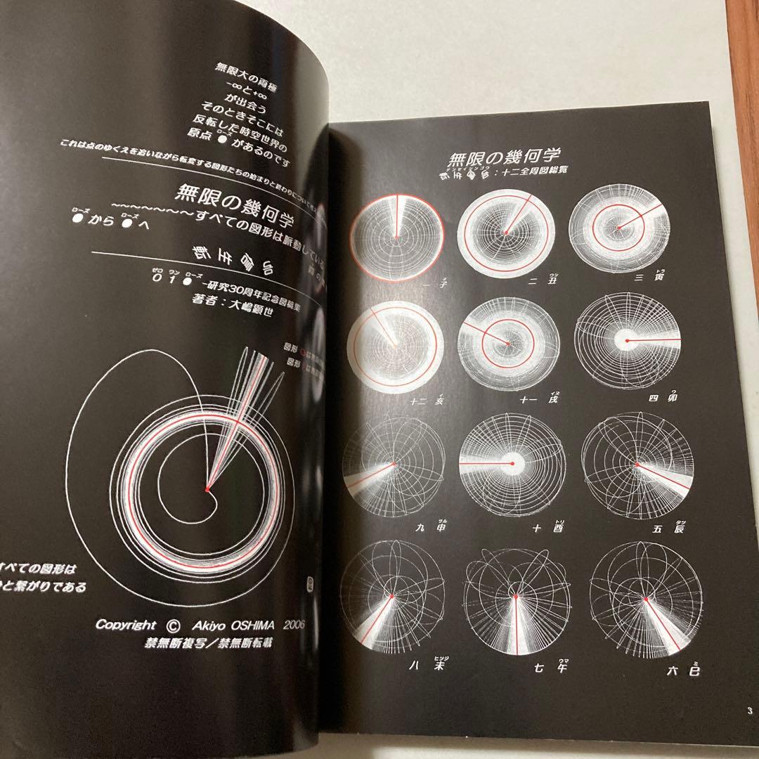 無限の幾何学 : 転生信号 : すべての図形は脈動している : 01[ローズ]…