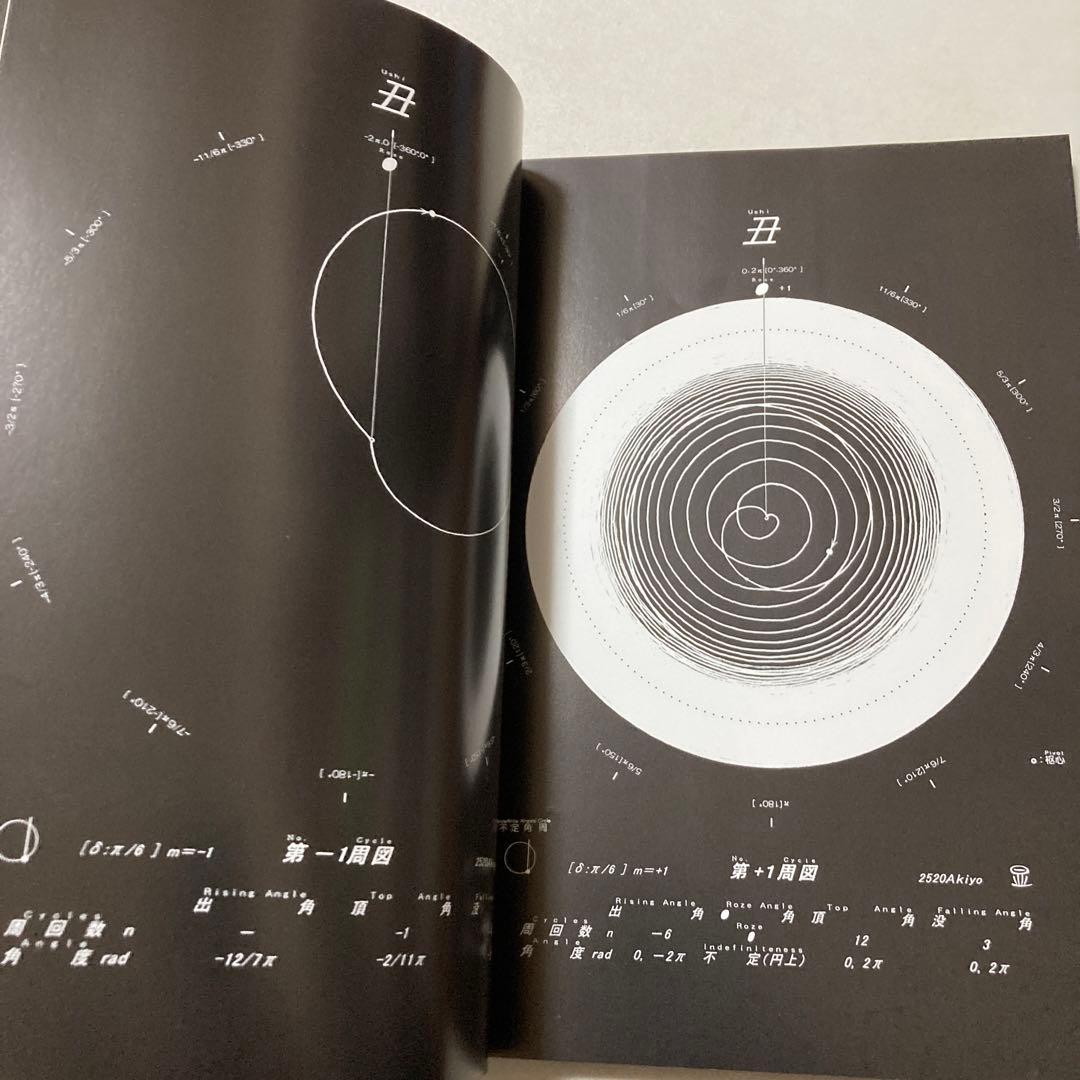 無限の幾何学 : 転生信号 : すべての図形は脈動している : 01[ローズ]…