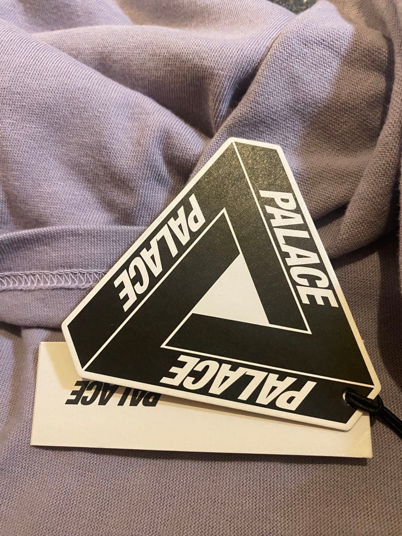 【THE North Face×PALACE】Tシャツ　Mサイズ