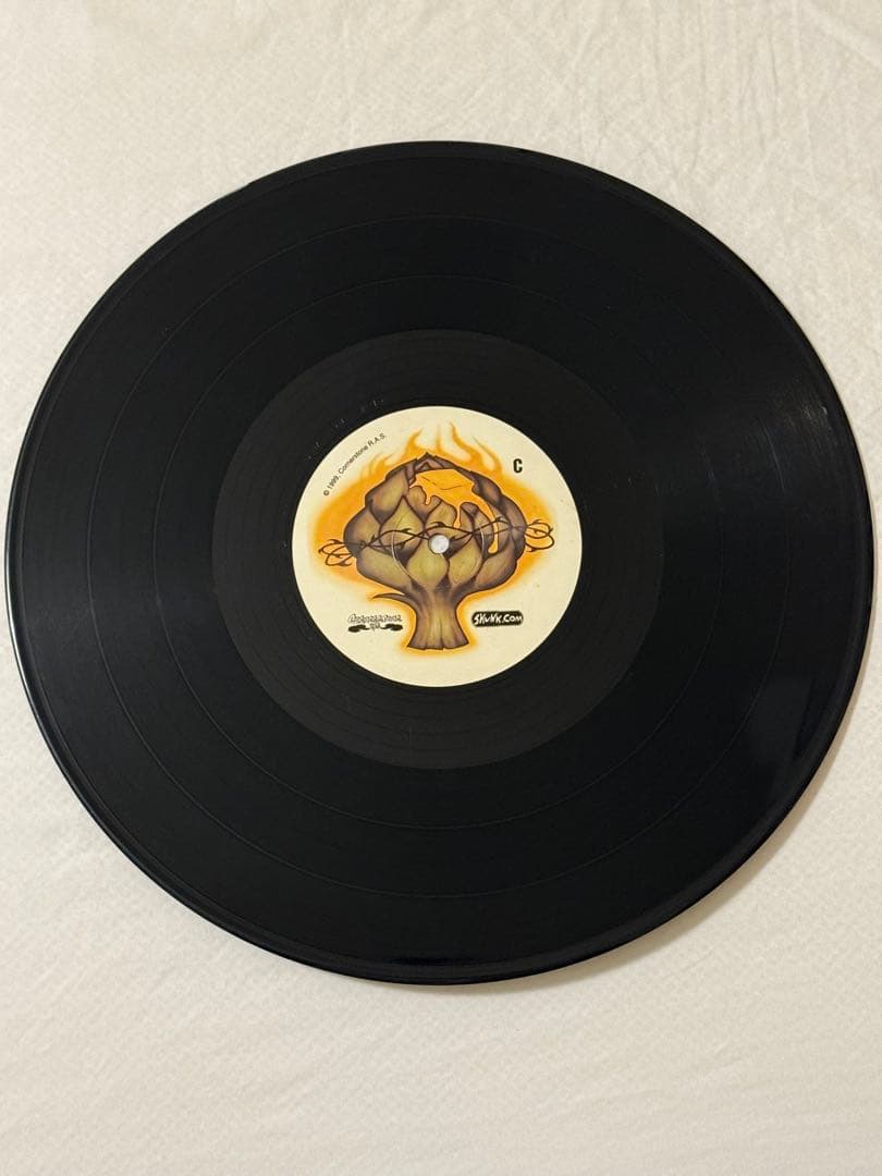 洋楽 LONG BEACH DUB ALLSTARS RIGHT BACK
