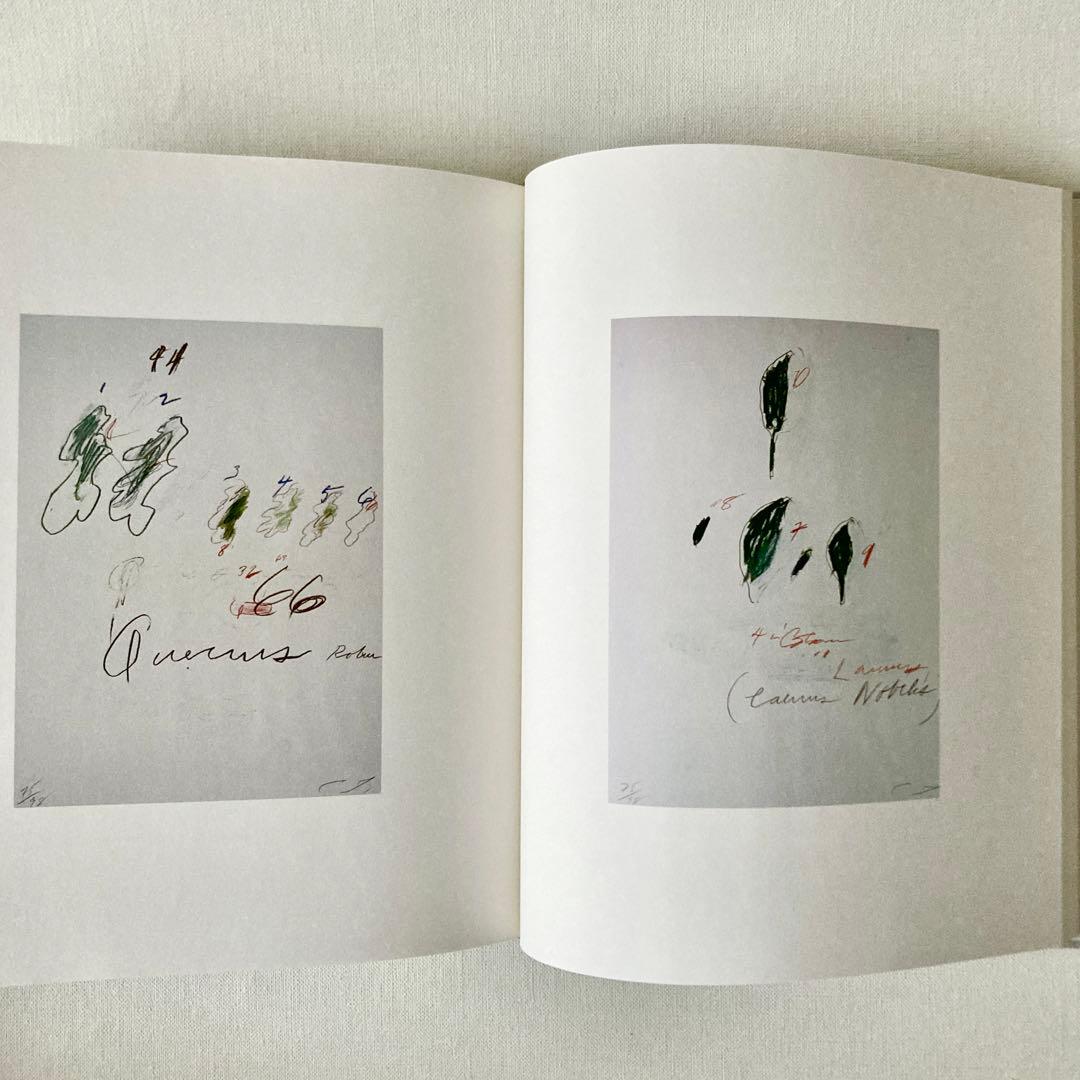 Cy Twombly サイトゥオンブリーの写真 変奏のリリシズム 洋書