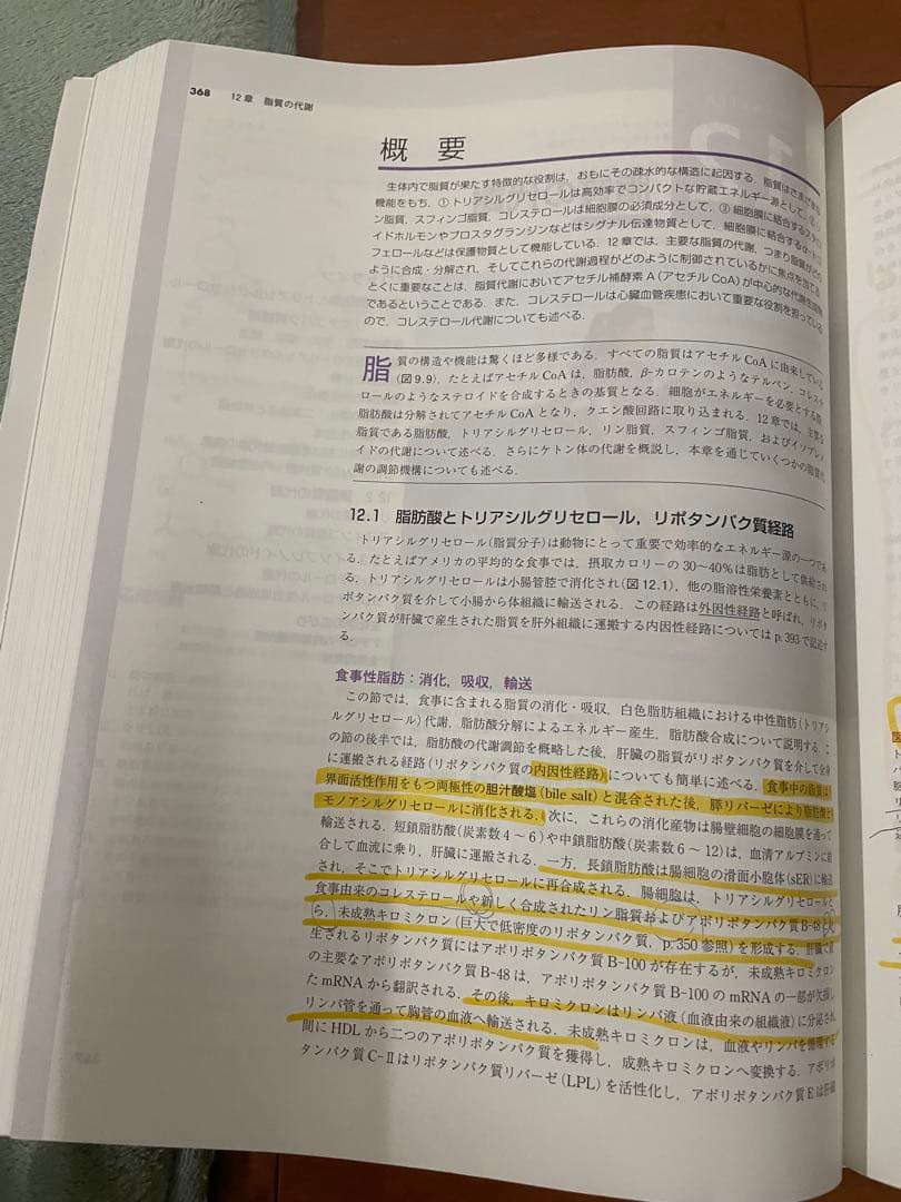 マッキー生化学（第6版）分子から解き明かす生命