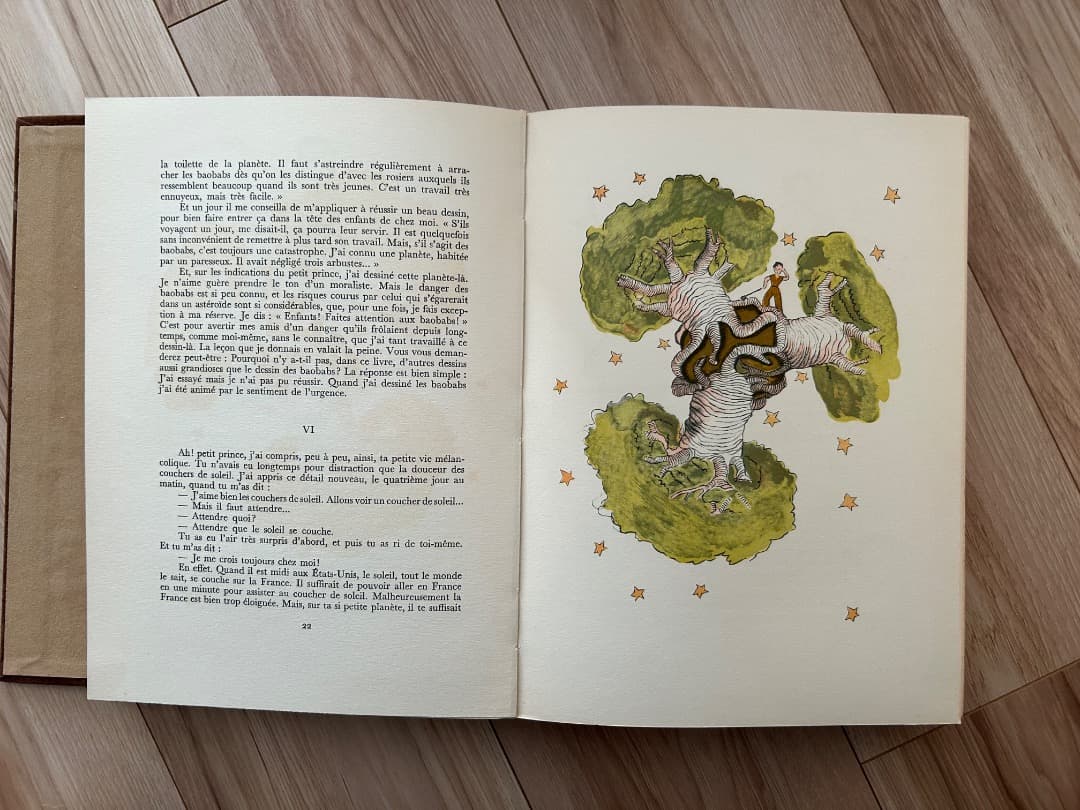 LIDIS 版　Le Petit Prince サン＝テグジュペリ　洋書