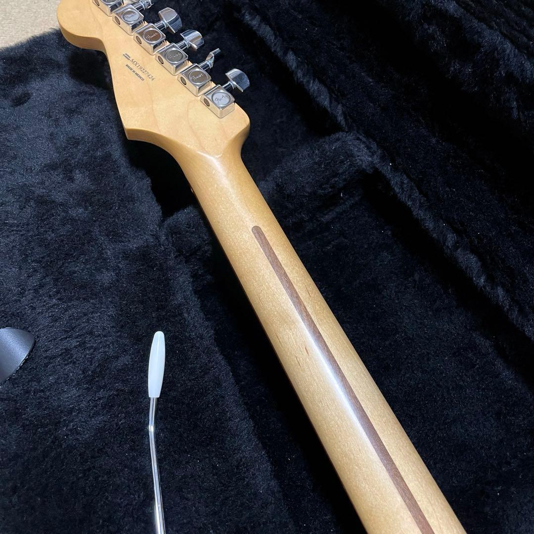 ギター Fender Player Stratocaster Pau Ferro
