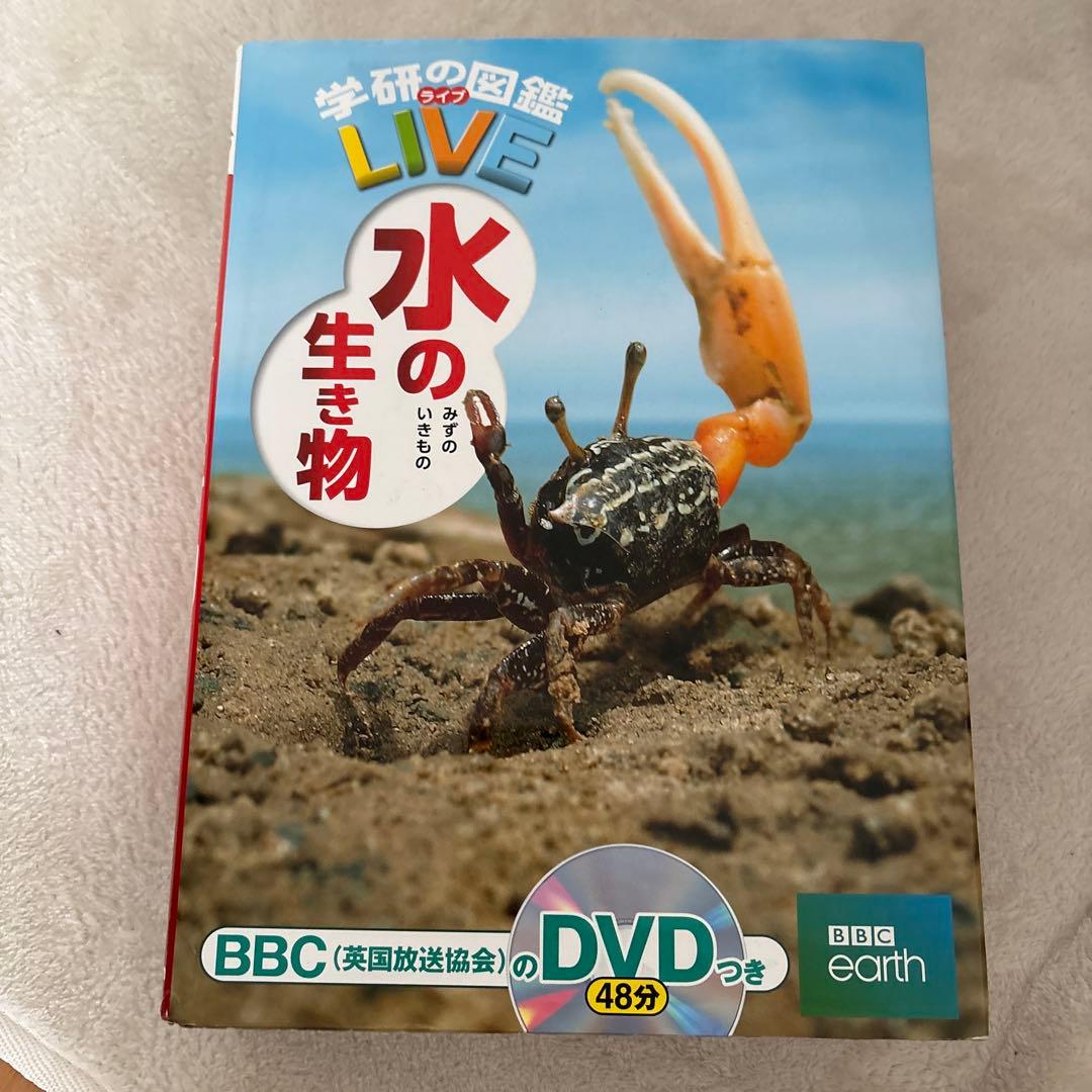 学研の図鑑LIVE＋小学館NEO ほか 図鑑 11冊まとめセット