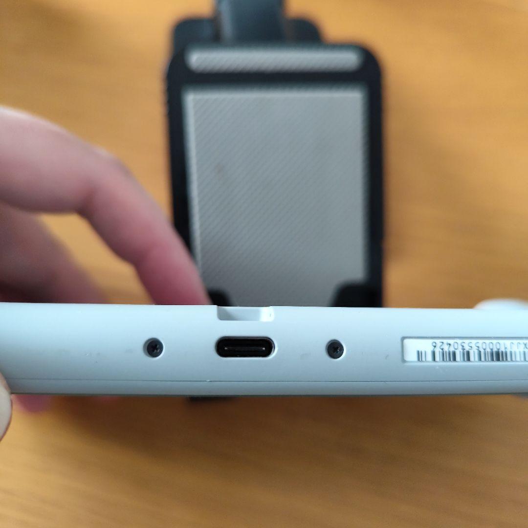 ニンテンドースイッチ ライト 本体 ザシアン・ザマゼンタ 剣盾　他付属品
