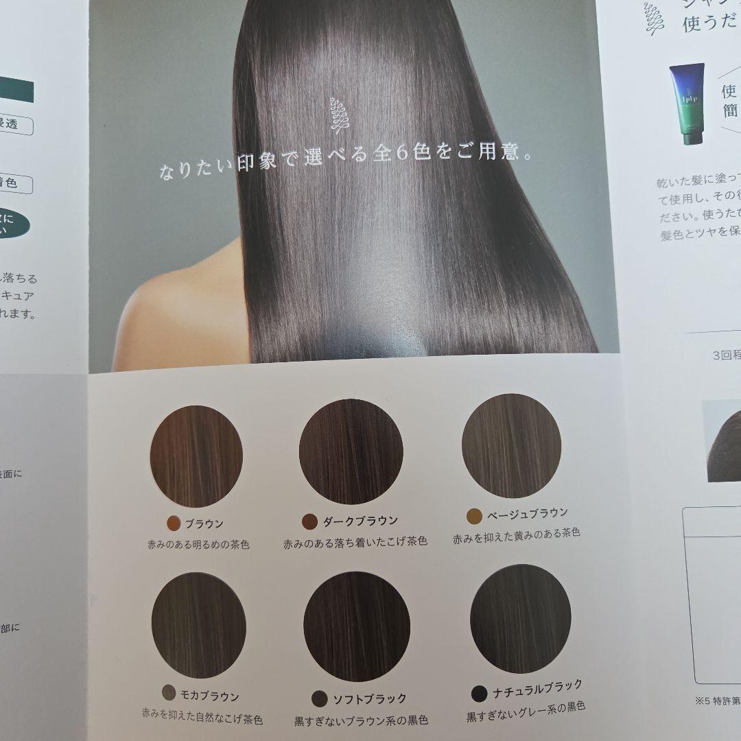 【新品】LPLP ヘアカラー トリートメント ブラウン 6本セット