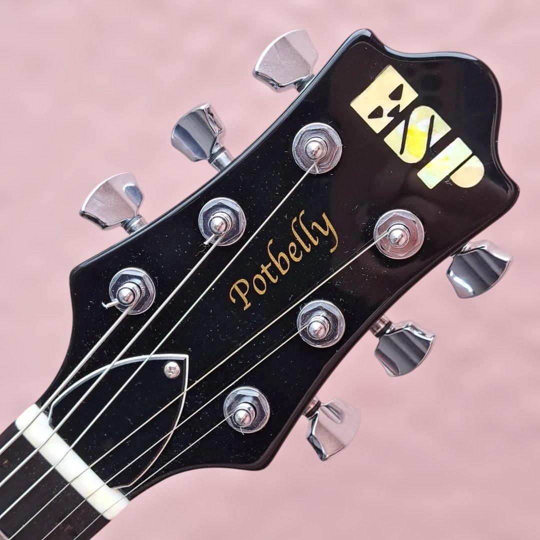 ■ESP POTBELLY TR ポットベリー Seymour Duncan