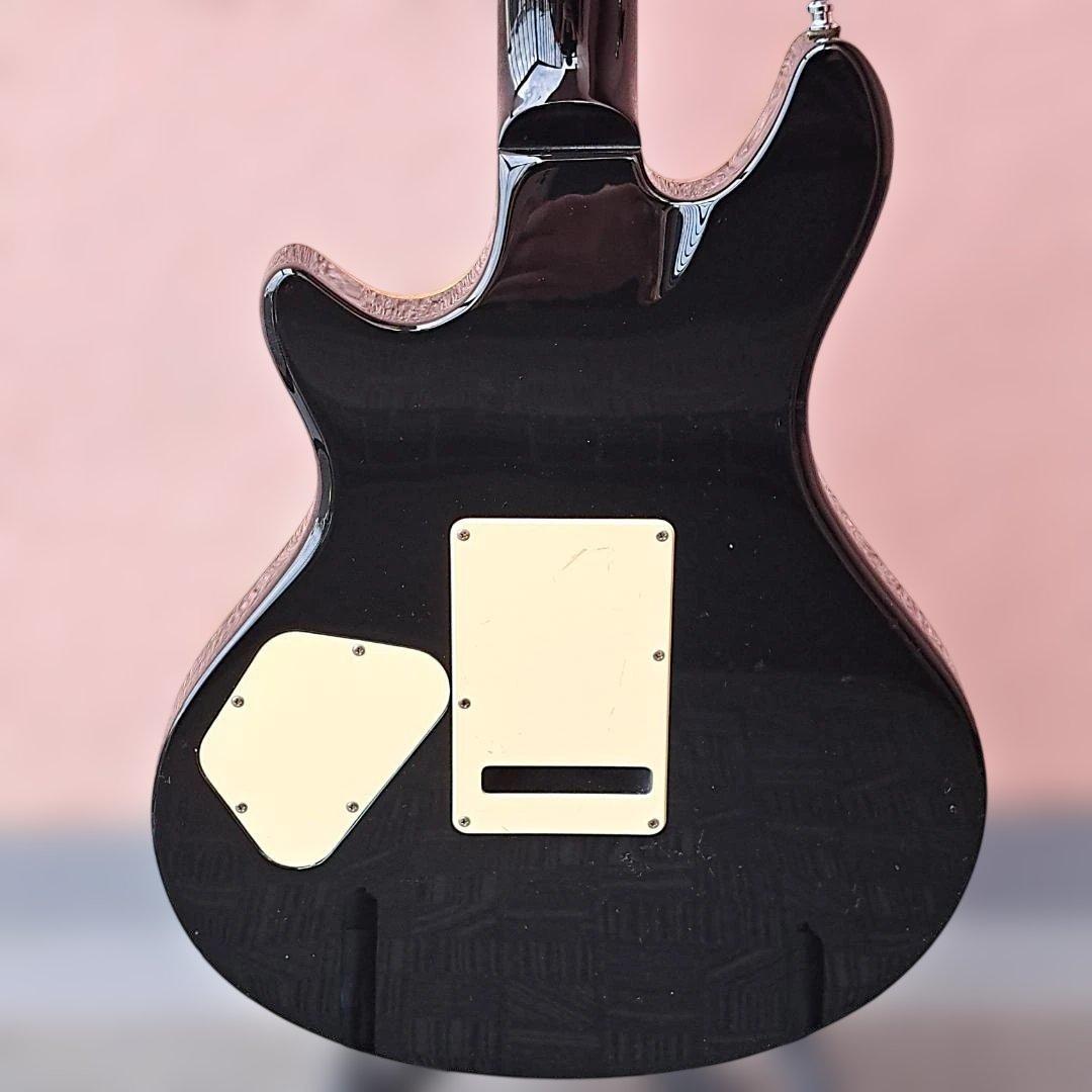 ■ESP POTBELLY TR ポットベリー Seymour Duncan