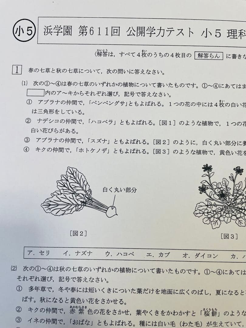 l浜学園　小5　2023年、2024年度　 2年分　4科目　公開学力テスト